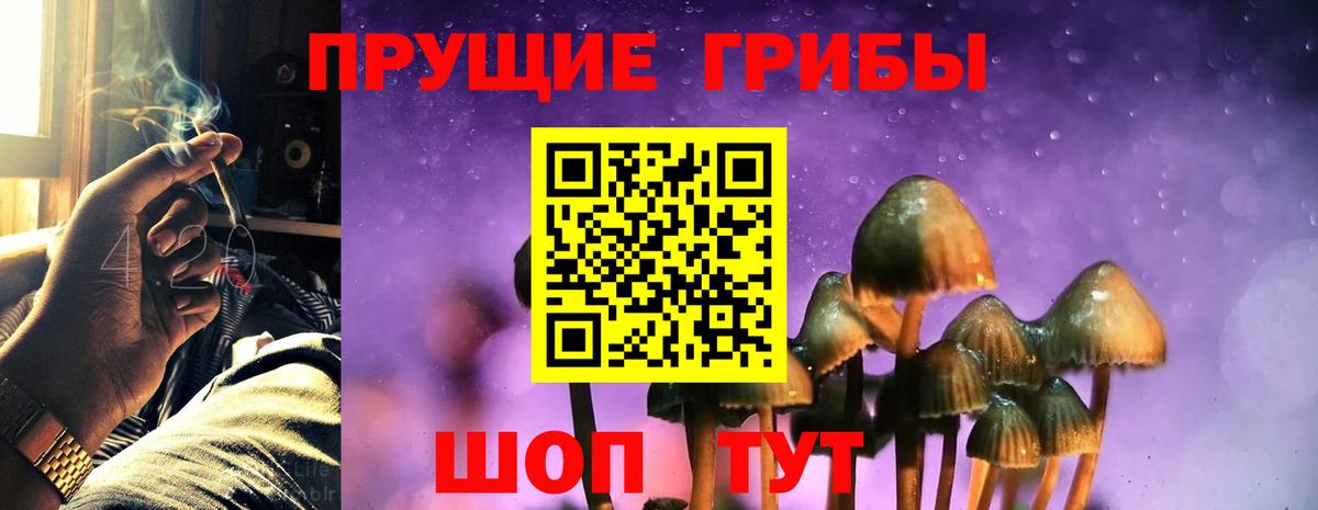 Псилоцибиновые грибы MAGIC MUSHROOMS Назрань