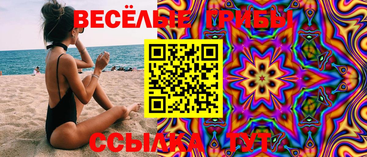 закладка  Галлюциногенные грибы Psilocybine cubensis  Вход с VPN  Назрань  Псилоцибиновые грибы мухоморы 
